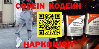 индика Кингисепп