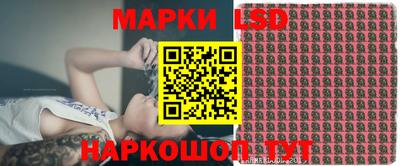 индика Кингисепп