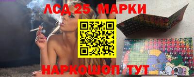 индика Кингисепп