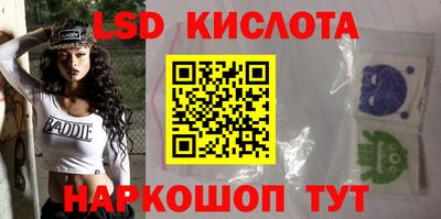 индика Кингисепп