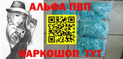 индика Кингисепп