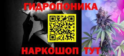 индика Кингисепп