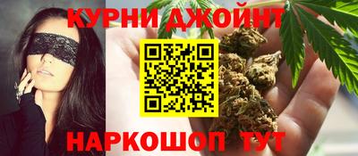 индика Кингисепп