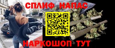 индика Кингисепп