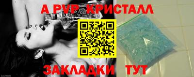 индика Кингисепп