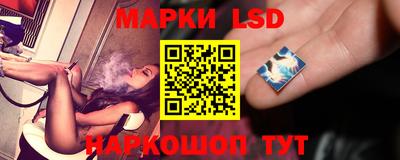 индика Кингисепп