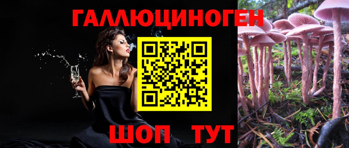 Корсаков  Галлюциногенные грибы Cubensis  Вход с VPN 