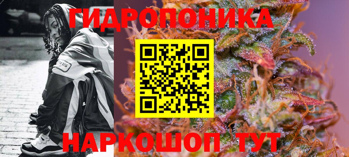 Марихуана сатива Корсаков